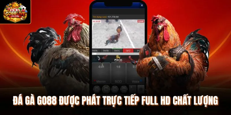 Đá gà Go88 được phát trực tiếp full HD chất lượng