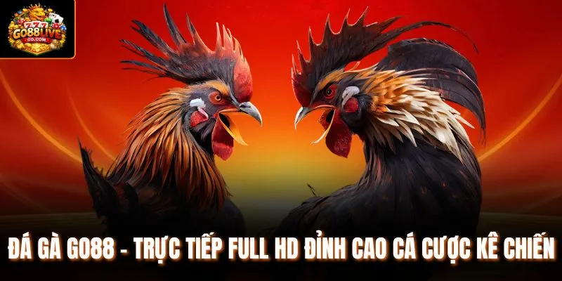 Đá Gà Go88 - Trực Tiếp Full HD Đỉnh Cao Cá Cược Kê Chiến