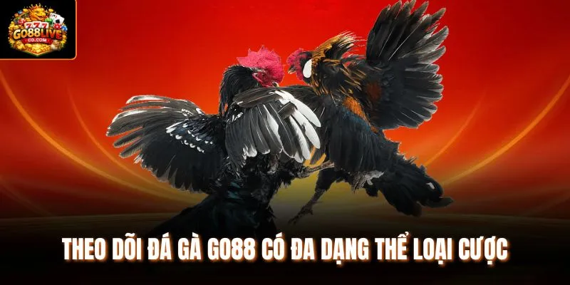 Theo dõi đá gà Go88 có đa dạng thể loại cược 
